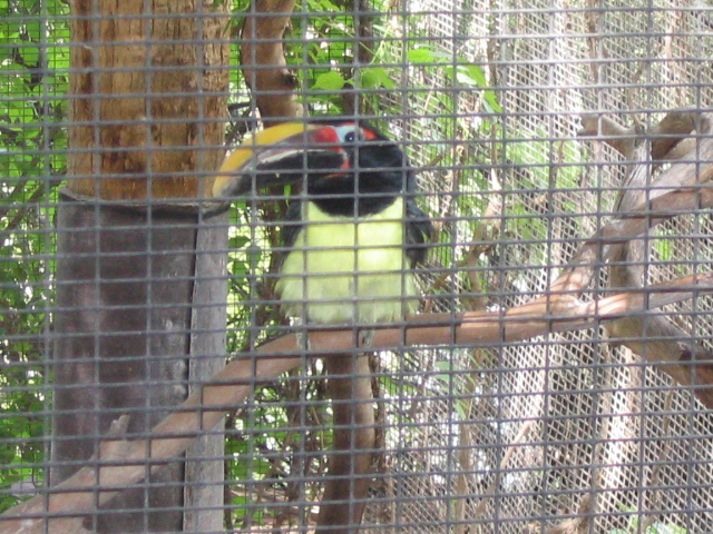 618x457 pixels (248K)